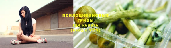 тгк Алзамай