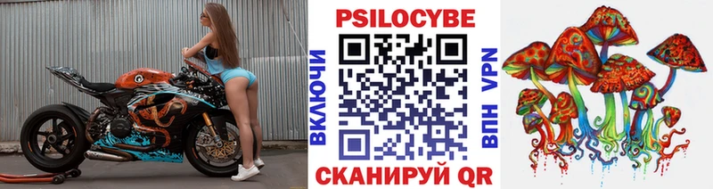 Купить закладки  Самара  Галлюциногенные грибы Psilocybe 